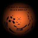 Surge In Madness - Black Bird