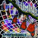 Lumino - The First Flight