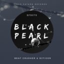 Beat Crusher, DJ Tiger - Aliya (Original Mix)