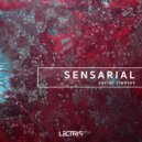 Sensarial - Serial Clublet