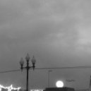 Edo Messina - Muscida