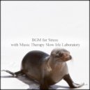 Music Therapy Slow Life Laboratory - Journey & Frustration