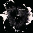 Polarfront - Generator (Original Mix)