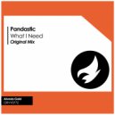 Pandastic - What I Need (Original Mix)