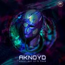 Aknoyd & Babagoon - Fat Camel (Original Mix)