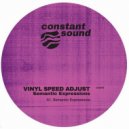 Vinyl Speed Adjust - Semantic Expressions (Mike Shannon Remix)