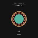 Irregular Live - Danger Situations (Original Mix)