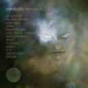 Piotr Figiel - The Shadow