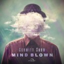 Schmitt Show - Surrealism