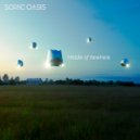 Sonic Oasis - Eventide (Original Mix)