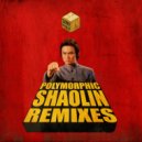 Polymorphic - Shaolin (Mr. Bigspender Remix)