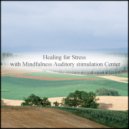 Mindfulness Auditory Stimulation Center - Sound of Water & Anxiety
