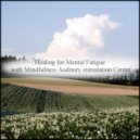 Mindfulness Auditory Stimulation Center - Hormone & Bgm
