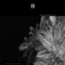 Razeed - Fundamental Attribution Error