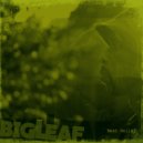 Big Leaf - Rain
