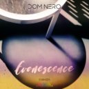 Dom Nero - Evanescence (Original Mix)