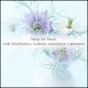 Mindfulness Auditory Stimulation Laboratory - Braue & Energy (Original Mix)