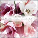 Mindfulness Auditory Stimulation Laboratory - March & Peace of Mind (Original Mix)