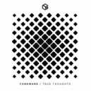Funkware - True Thoughts (Original Mix)