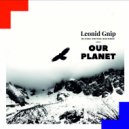 Leonid Gnip - Tonality (Original Mix)