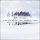 Mindfulness Neuro Feedback Partner - Ernst & Attraction