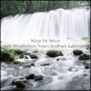 Mindfulness Neuro Feedback Laboratory - Da Vinci & Healing (Original Mix)