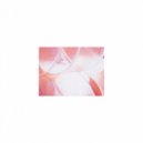 Mindfulness Healing BGM Project - Freesia & Rhythm (Original Mix)