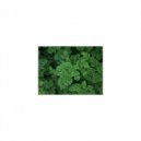Mindfulness Healing Bgm Project - Perseverance & Communication