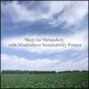 Mindfulness Sustainability Partner - Perseverance & Acoustic (Original Mix)