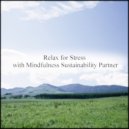 Mindfulness Sustainability Partner - History & Mental Stability (Original Mix)