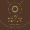 Ron Carlton - Shadow On Me