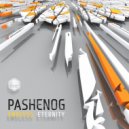 Pashenog - Singularity Effect