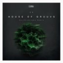 CK - House Of Gruuvs (Za__Paradigma Remix)