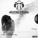 The Cloudy Day - Wings
