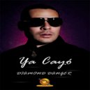 Diamond Danger - Ya Cayó (Original Mix)