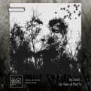 Soa Dreams - Efflorescence