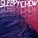Sleepy Crow - Dizzy on the Way Down (Original mix)