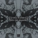 Mr. Flick - Still Waters ()