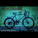 Native Intelligence - Soul Space Value