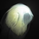 Nomad - Unanswered Question