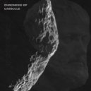 Cassulle - Synesis