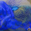 Petridisch - Delphinium Event II (Original Mix)