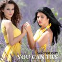 Sync Diversity - You Can Try (KomaTroll Remix)