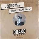 Dan:Ros, Vannya Diva - What You Said (Original Mix)