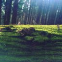 Gallery Six - lazy morning ()