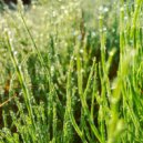 Gallery Six - commonplace ()
