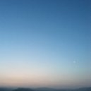 Gallery Six - gramp\'s garden ()