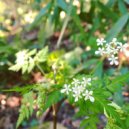 Gallery Six - after the rain ()