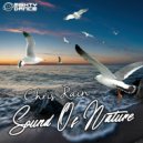 Chris Rain - Sound Of Nature (Original Mix)