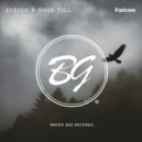 Everex & Dave Till - Falcon (Original mix)